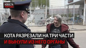 В Фирсановке живодёр расчленил кота \\ 360 Химки