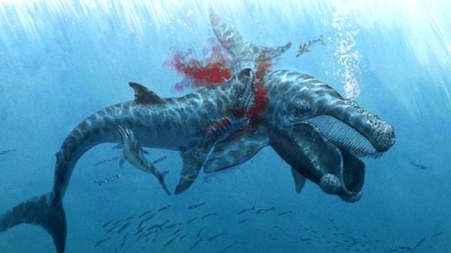 Мега акула всех времен - Мегалодон. Ужас океанских глубин. Факты. смотреть онлайн