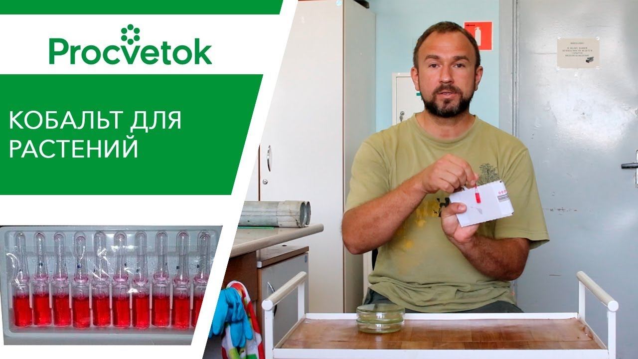 Подкормка растений кобальтом. Органическое (природное) земледелие. Сад, огород.