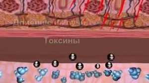 Влияние длинноволнового инфракрасного излучения на здоровье человека.