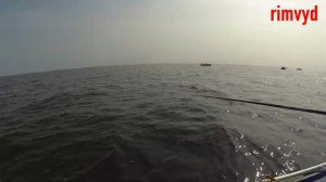 Чудское озеро, рыбалка с бонусами.Эстония.Микро джиг