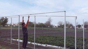 Подготовка высоких грядок под посадку помидор