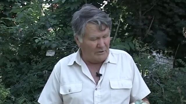 Валерий Панов: Можно ли сеять огурцы в июне? смотреть онлайн