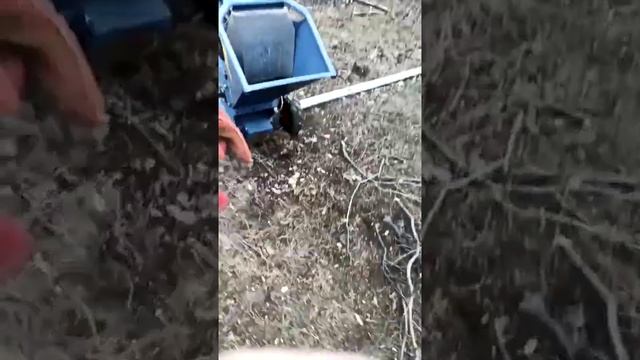 Измельчитель веток DH-18