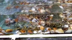 Сколько стоит уличная еда во Вьетнаме 2020. Морепродукты в Муйне.