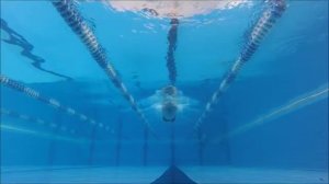 Секреты в работе рук брассом/ Как научиться правильно плавать/ How to learn to swim/ Breaststroke