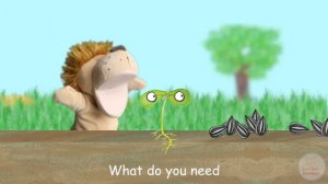 The Seed Song - What Do Seeds Need?