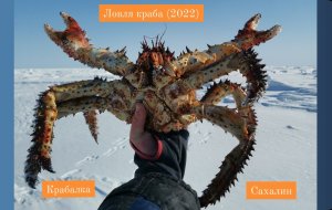 Ловим крупного Краба (крабалка 2022).mp4