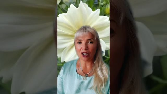 Ваша карьера и аромапсихология ??❤ смотреть онлайн