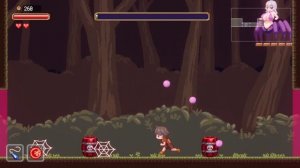 Lost in the World of Succubi - All Bosses