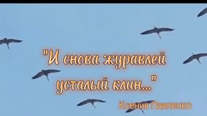 "И СНОВА ЖУРАВЛЕЙ УСТАЛЫЙ КЛИН..." стихи Ксении Павленко