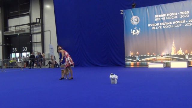 Титова Елизавета Сиба ину Сумико Вне Зачета смотреть онлайн