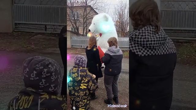 Поздравление от белого мишки в Оренбурге.11.11.23 смотреть онлайн