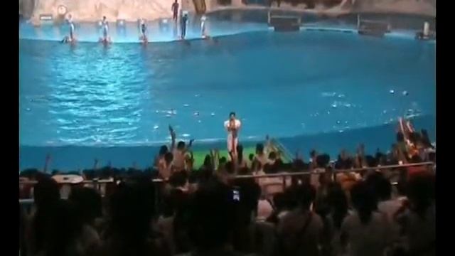 Маршрут Пекин-Циндао 8 ч смотреть онлайн