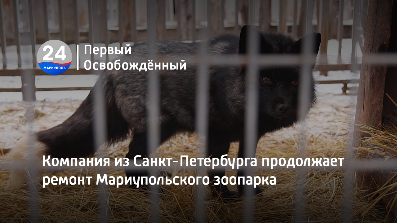 Уже вторую неделю он шел из мариуполя