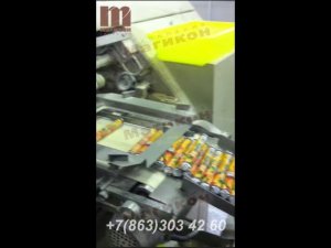 Машина для упаковки круглых плоских конфет в цилиндрическую упаковку по типу конфет "Рондо"