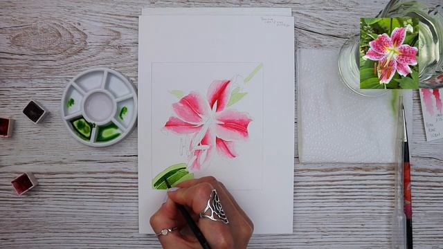 Stargazer Lily Watercolour Tutorial смотреть онлайн