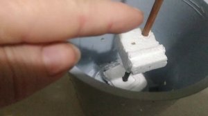 Реанимация орхидеи Мильтония.Уход за орхидеей.