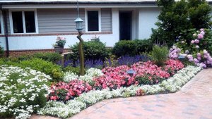 КРАСИВЫЙ САД У ВХОДА/ЦВЕТОЧНЫЕ КЛУМБЫ/ПОЛИСАДНИК У ВХОДА/BEAUTIFUL GARDEN AT THE ENTRANCE/FLOWER BE