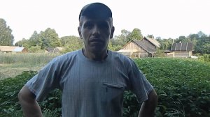 Собака для деревни // Жизнь в деревне