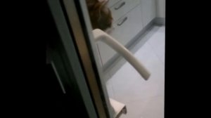 Что делать если вас закрыли на балконе и забыли открыть дверь