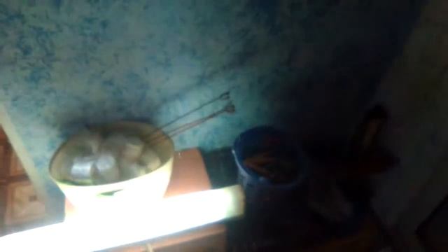 Обзор светильника 2000 года с лампой марки Свет ЛД20 Ⅲ 03 смотреть онлайн