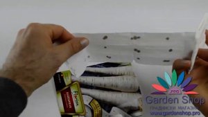 Пастернака семена - супер вкусно и полезно растительные - лента