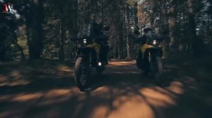 2024 SUZUKI DR 800 TWIN RALLY RACER FROM DESIGNER OBERDAN BEZZI