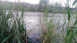 Рыбалка на карася. Ловля карася на удочку.