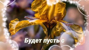 С Днём Рождения, невестка дорогая. Поздравление невестке.Музыкальная открытка.