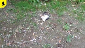 Едем на рыбалку в Славянск на Кубани  #Рыбалка, #fishinginrussia