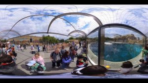 Московский зоопарк видео в формате 360˚