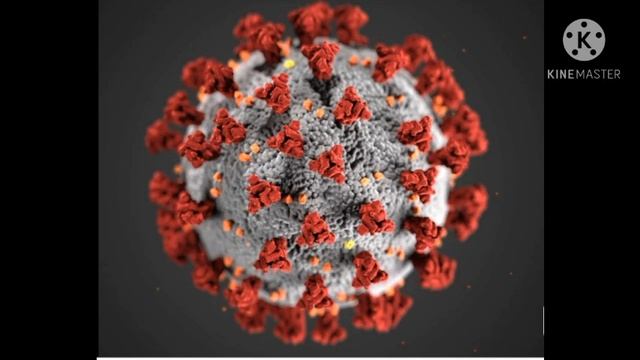 Corona sings levan polka ? смотреть онлайн