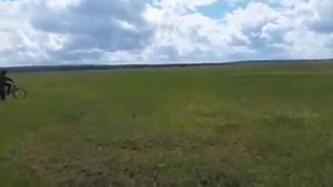 Мастер класс по обучению диких лошадей от монгольской группы каскадеров #ТЭНГЭРИИНЧОНО. 2