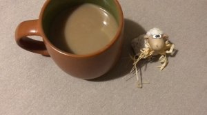 Страничка Надежды/Надежда уже на колесах и мечтает о зоне отдыха