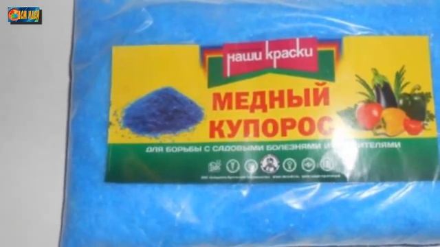 Весенняя обработка крыжовника от болезней и вредителей.