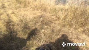 Коса роторная для Скаут Т-18 на трехточке