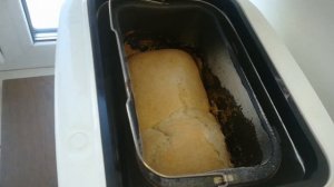 Стоит ли покупать хлебопечь