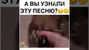 А вы узнали песню???...