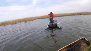 Много щуки, на что ловить весной. Как ловить щуку весной.