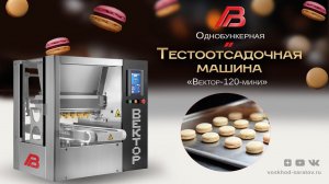 Тестоотсадочная машина "Вектор-120-мини" - производство кондитерского изделия "Макаронс"