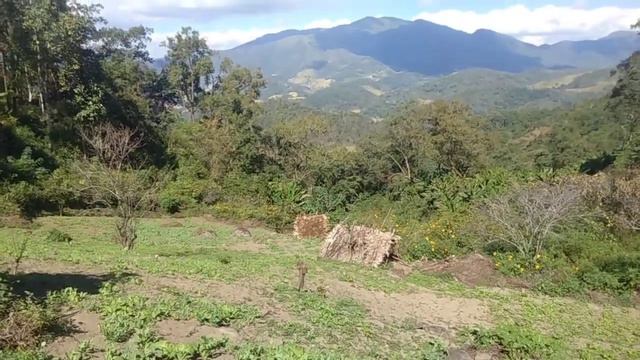 lub neej tshiab tsis zoo li qhov wb ntshaw 12/12/2023 смотреть онлайн