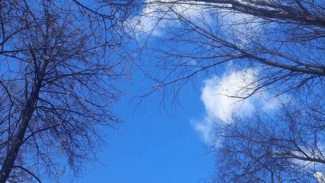 С днём космонавтики! ? (стихотворение Владимира Солоухина "Мерцают созвездья") смотреть онлайн