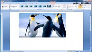 How to Crop Image / Picture in Word Document