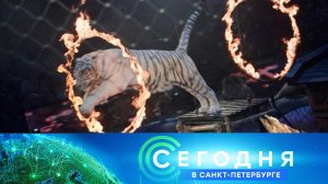 «Сегодня в Санкт-Петербурге»: 3 февраля 2023 года