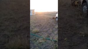 абиссинская скважина. бурение скважин в Омске. 3 скважины за 8 часов