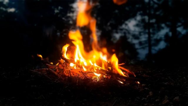 СТРАШНЫЕ ИСТОРИИ ПРО ДЕРЕВНЮ И ОБОРОТНЕЙ / СТРАШНЫЕ ИСТОРИИ ПРО ОБОРОТНЕЙ / СТРАШНЫЕ ИСТОРИИ / ЛЕС