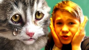 Что  СДЕЛАЛИ мои КОШЕЧКИ  С Приблудившимся КОТОМ.