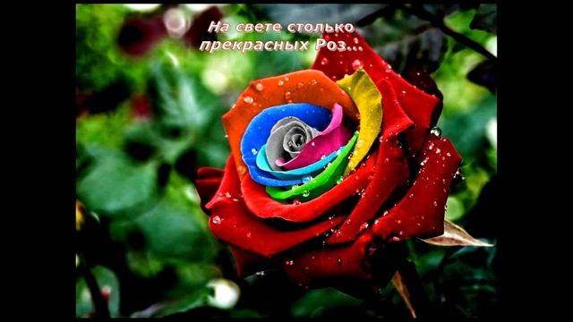 Букет Роз Для моих Друзей смотреть онлайн