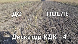 Посев сразу после дискования КДК-4 производства ЗимМаш г. Орел.